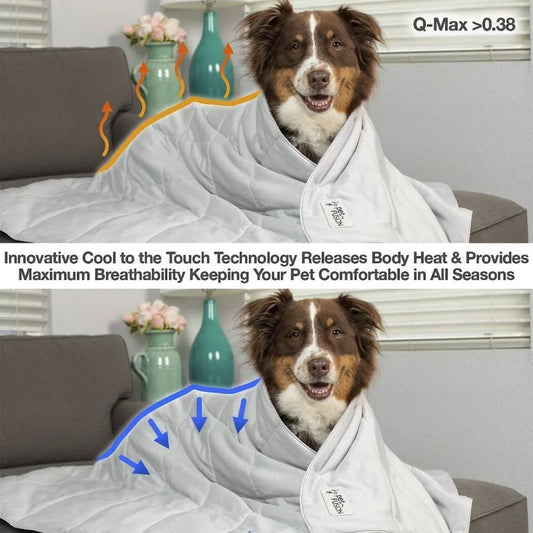 Premium Cat and Dog Cooling Blanket - Lightweight and Washable