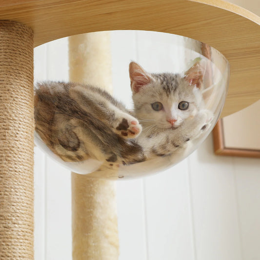 Multi-Level Cat Tree with Scratching Posts and Hammocks