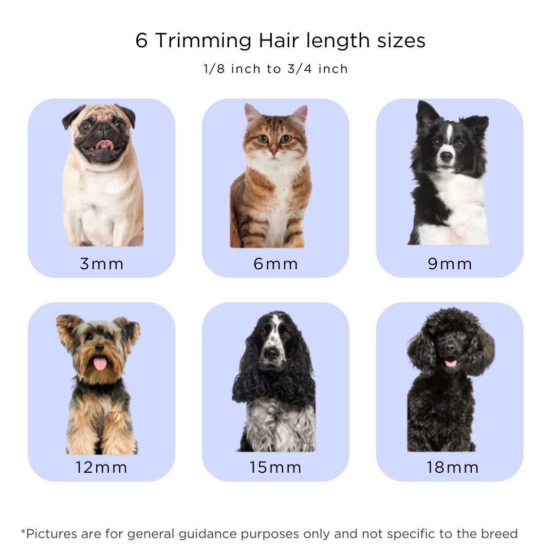 Grooming Kit and Vacuum for Dogs & Cats, Removes up to 99% of Fur Low noise, Adjustable Speed