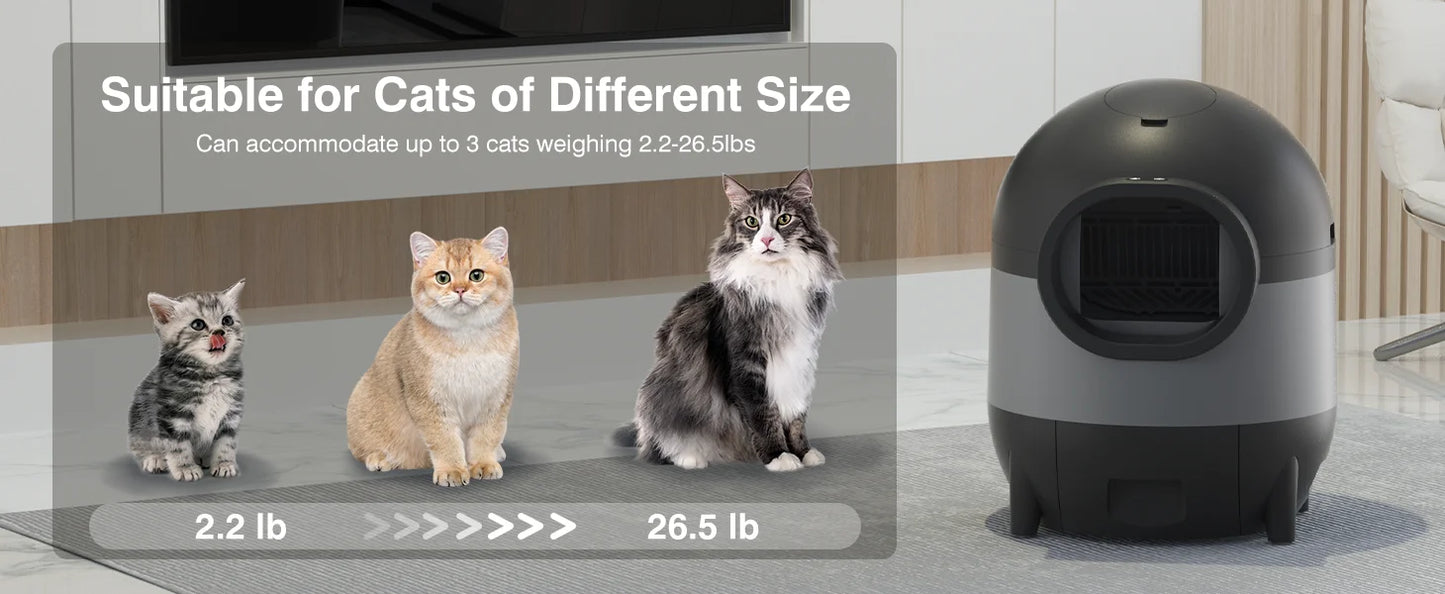 Self-Cleaning, Odor-Free Automatic Cat Litter Box