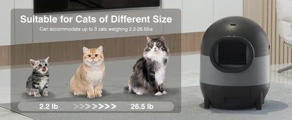 Self-Cleaning, Odor-Free Automatic Cat Litter Box