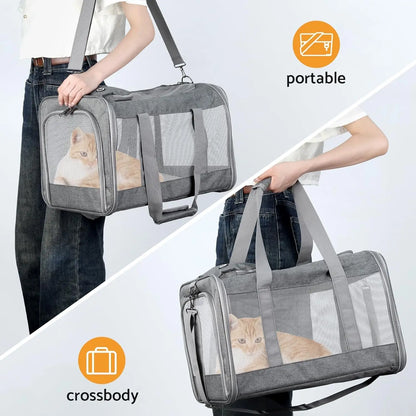 Airline Approved Pet Carrier with Breathable Honeycomb and Removable Support Board