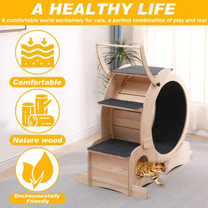 Cat 7-in-1 Exercise Treadmill and Tunnel for Indoor Cats