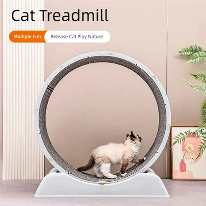 Cat treadmill