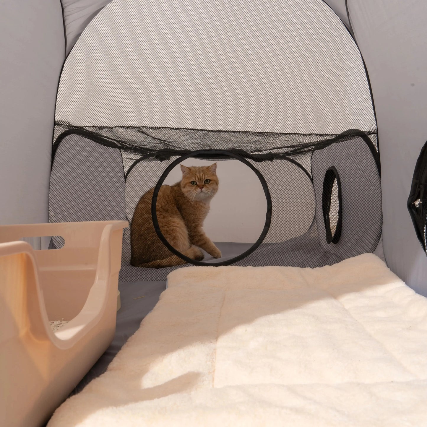 Square Cat Play Tunnel -  Foldable Nest