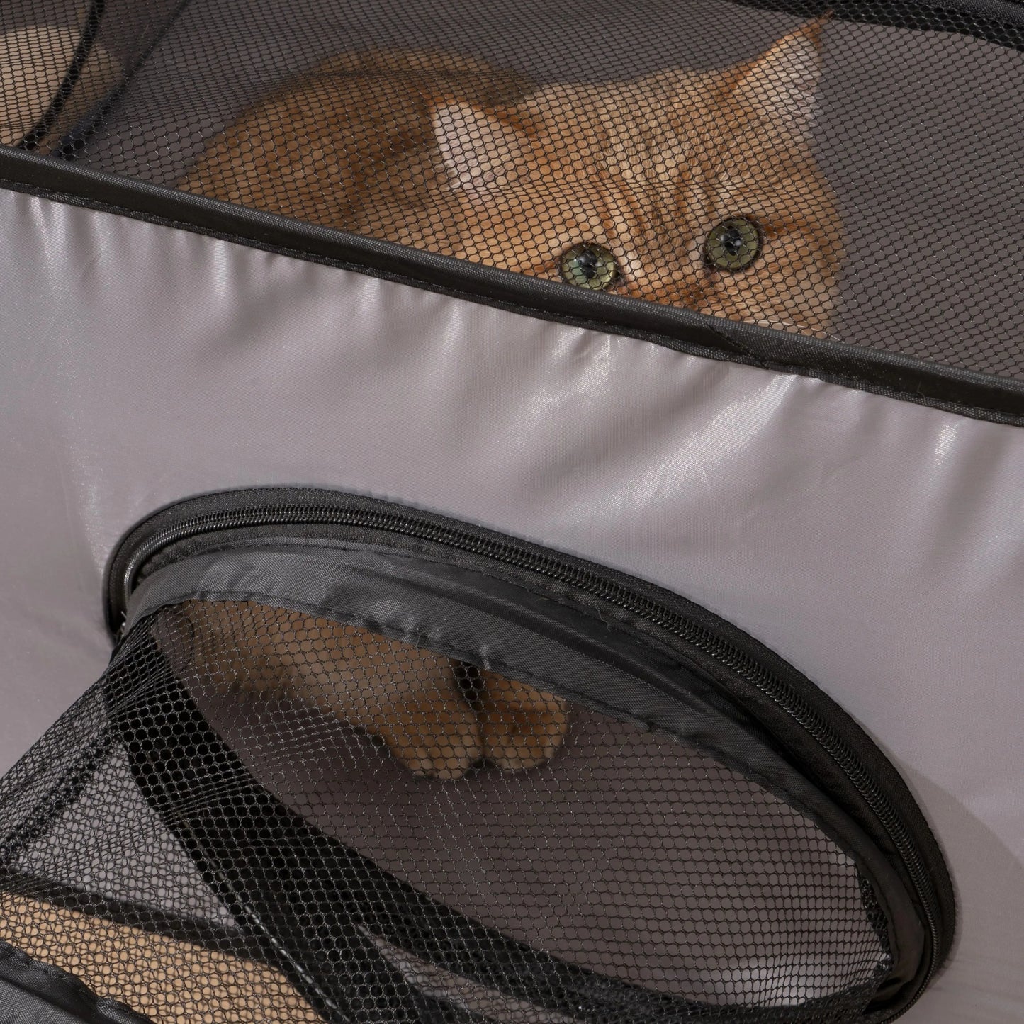 Square Cat Play Tunnel -  Foldable Nest