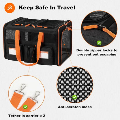 Large Double Pet Carrier with Removable Divider