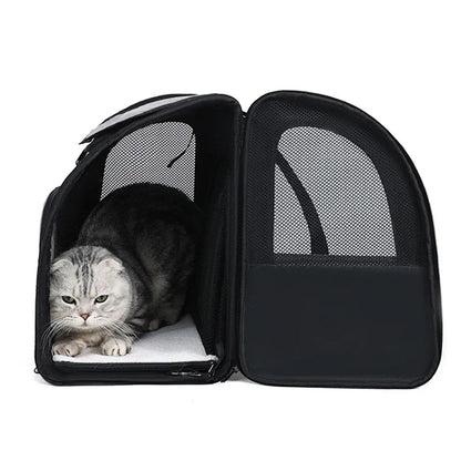 Expandable Pet Backpack with Breathable Mesh Shade Cover