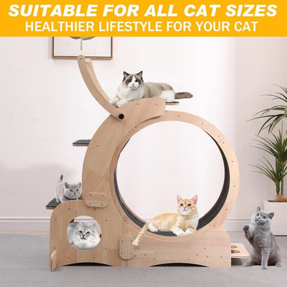 Cat 7-in-1 Exercise Treadmill and Tunnel for Indoor Cats