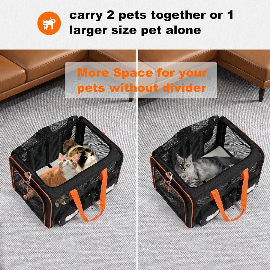 Large Double Pet Carrier with Removable Divider