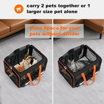 Large Double Pet Carrier with Removable Divider
