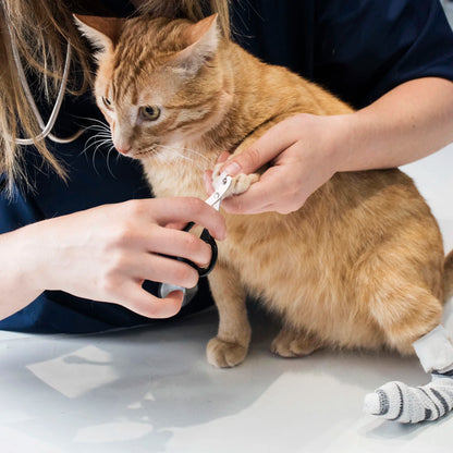 Professional Pet Nail Clippers  Dogs and Cats