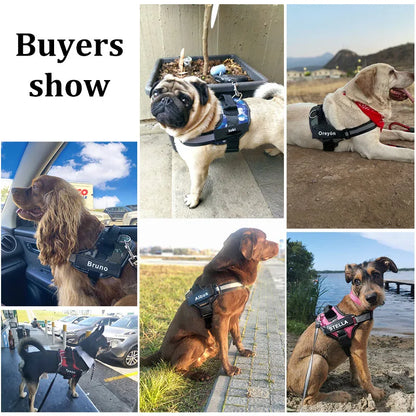 Personalized, NO PULL, Reflective, Breathable Harness Vest For Small and Large Dogs