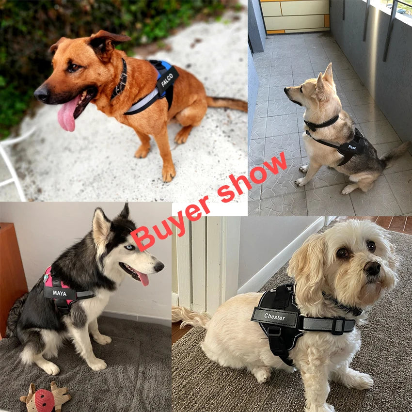 Personalized, NO PULL, Reflective, Breathable Harness Vest For Small and Large Dogs
