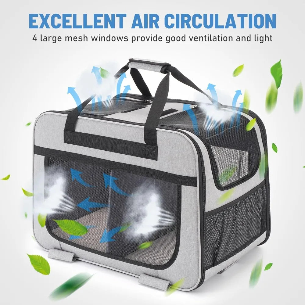 Double Pet Carrier with Wheels