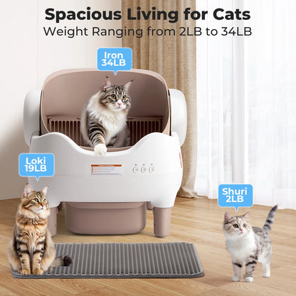 Self Cleaning, Automatic Cat Litter Box with APP Control, Odor-Free  Large Waste Bin, Open-Top for Multi Cats