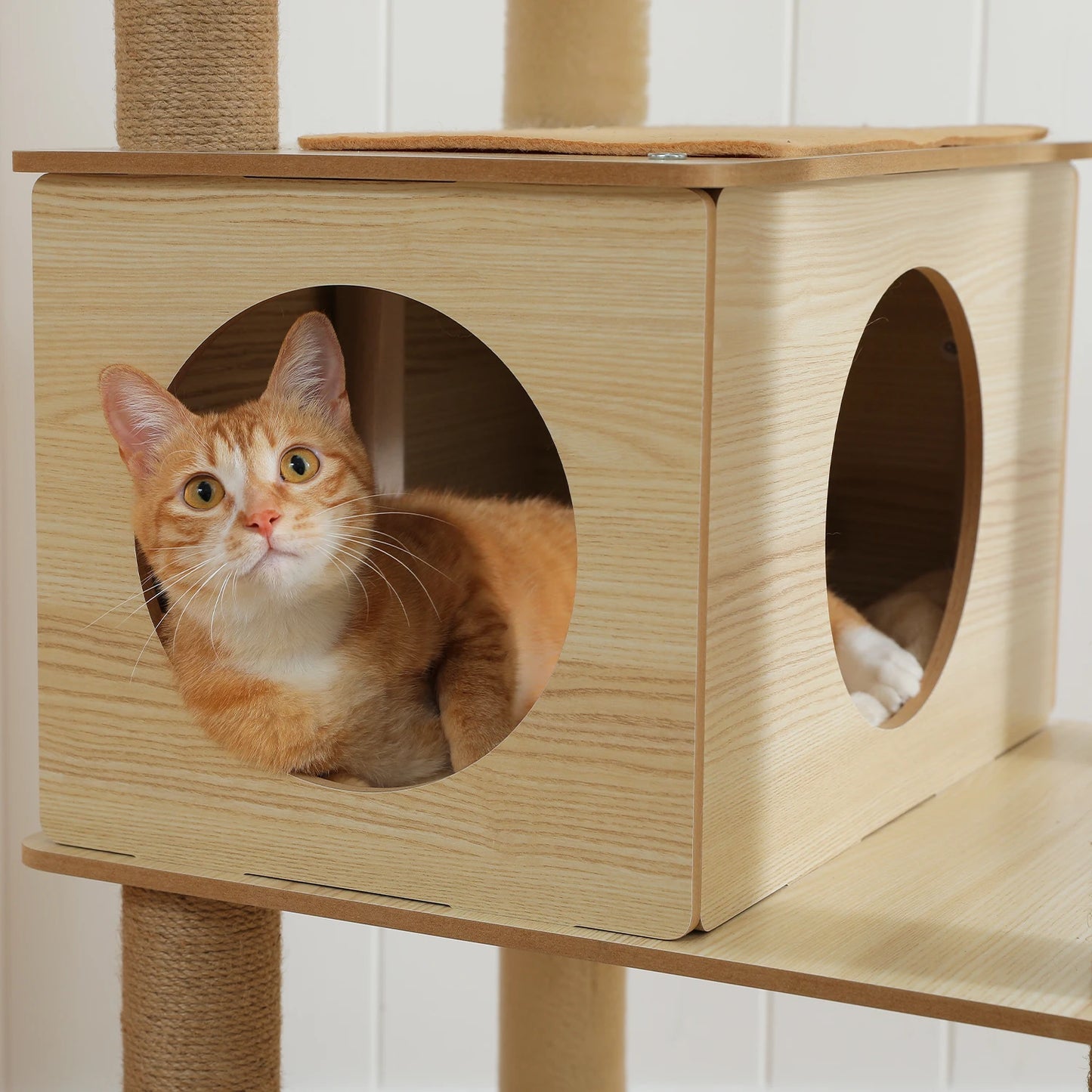Multi-Level Cat Tree with Scratching Posts and Hammocks