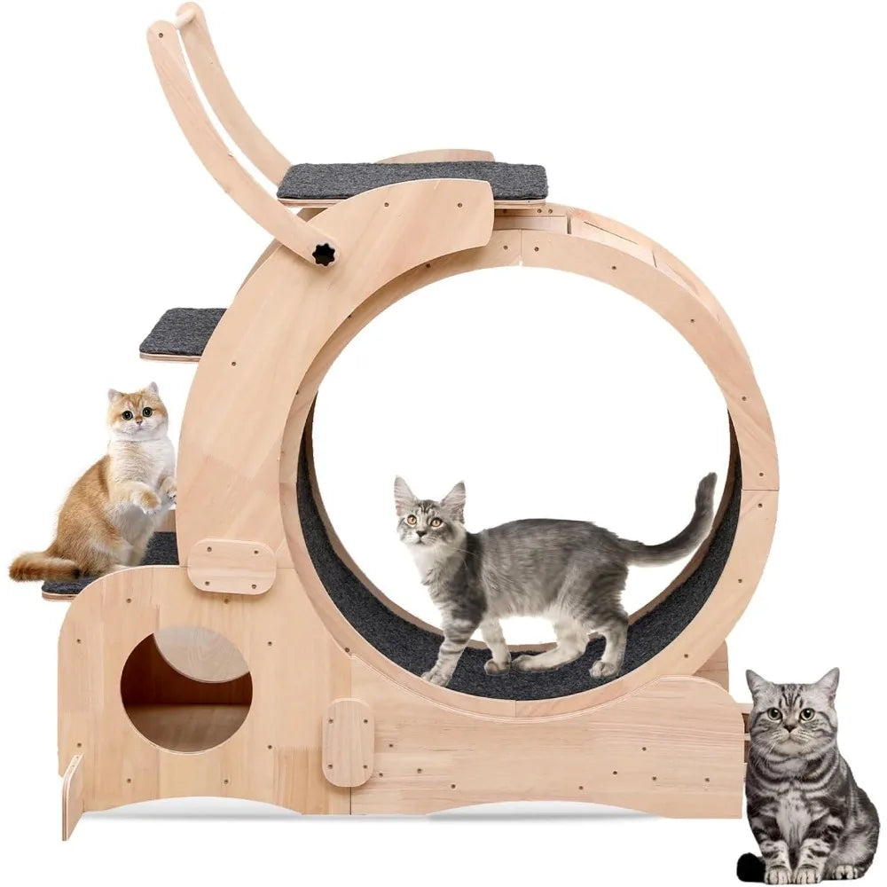 Cat 7-in-1 Exercise Treadmill and Tunnel for Indoor Cats