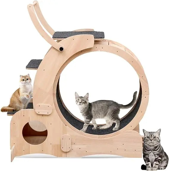 Cat 7-in-1 Exercise Treadmill and Tunnel for Indoor Cats