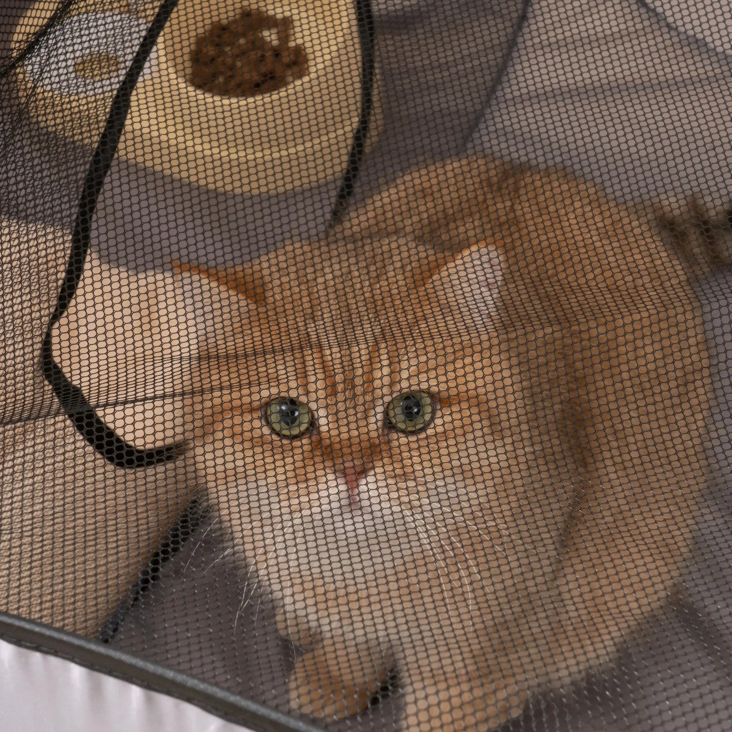 Square Cat Play Tunnel -  Foldable Nest